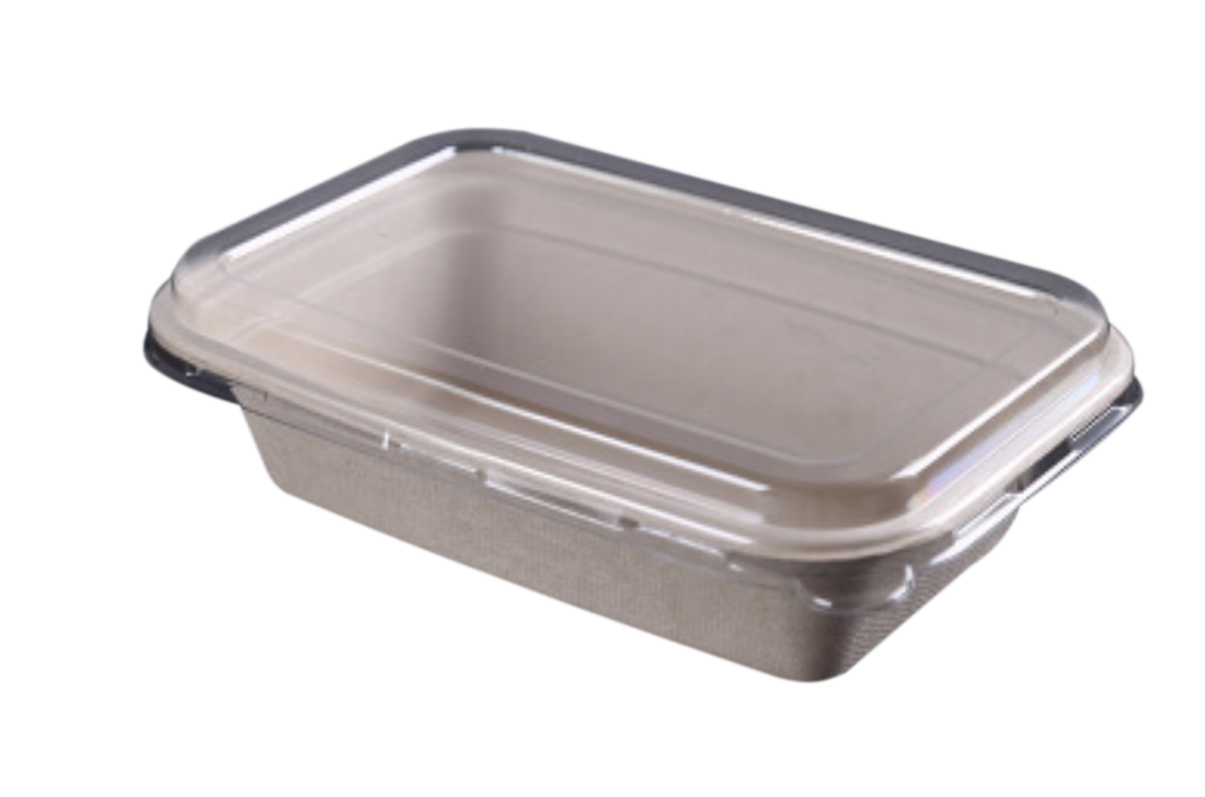 1000ml Rectangular Bagasse Container