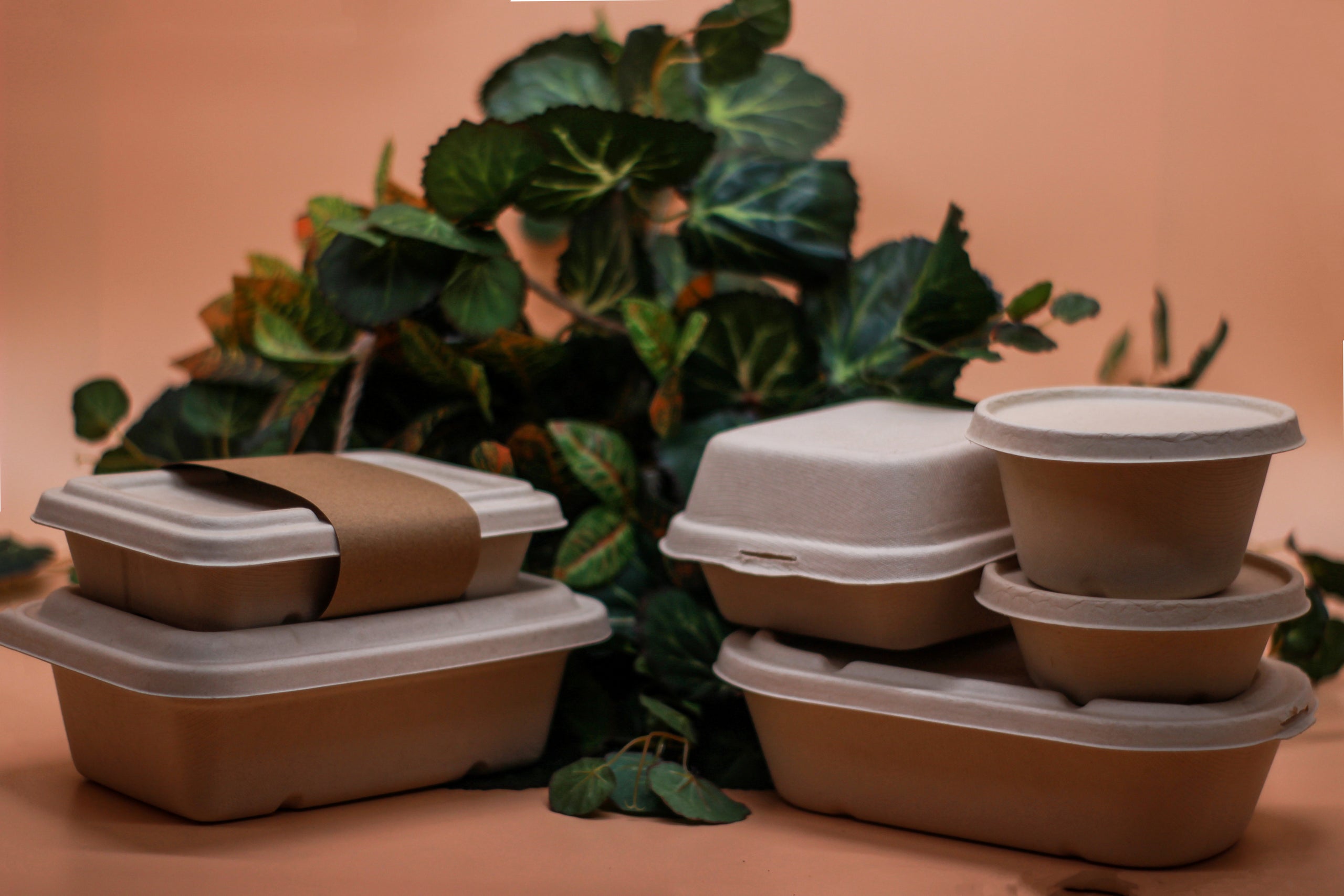 Packaging Lab PH | Direct Importers of Food Packaging | Wholesale ...
