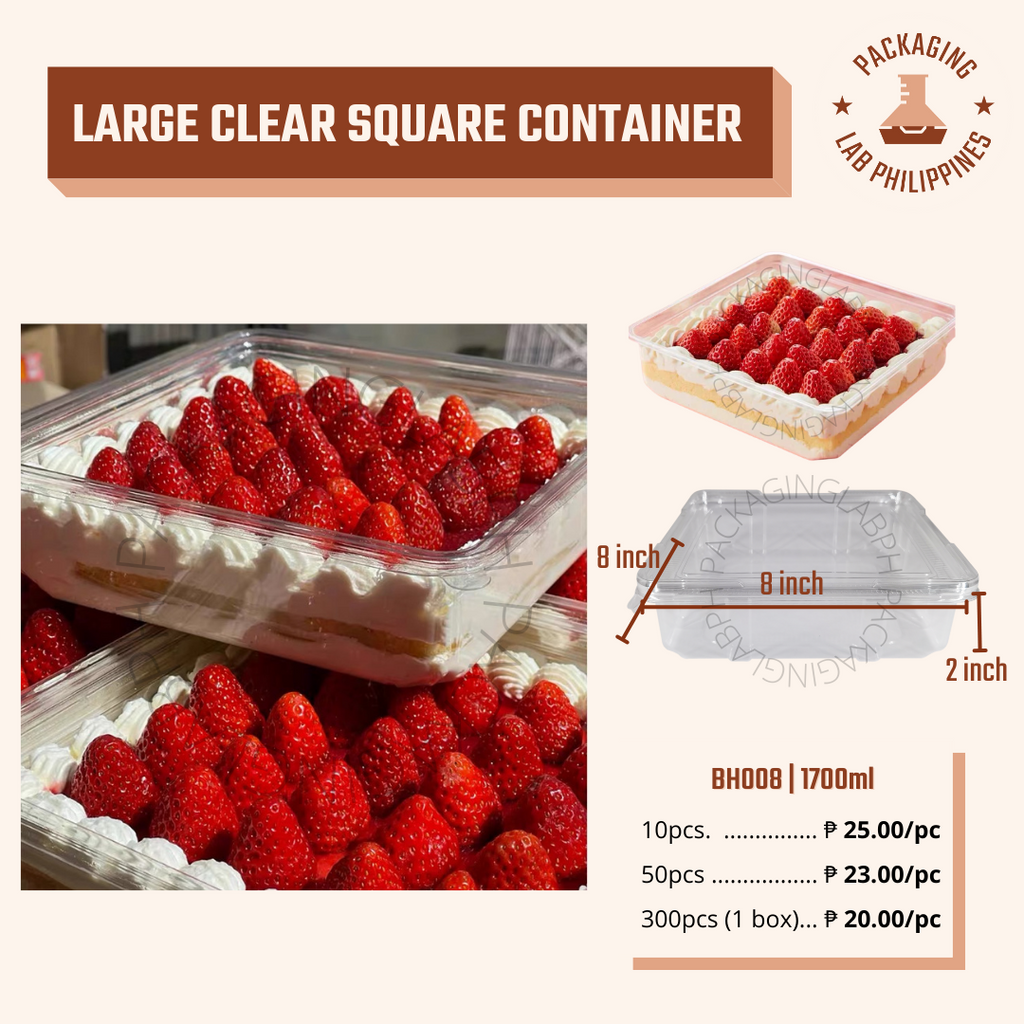 Large Clear Square Container – Packaging Lab Philippines