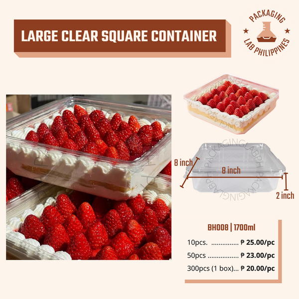 Large Clear Square Container