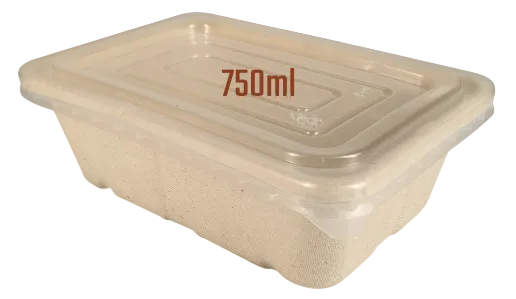 Rectangle Sugarcane Box with PP Lid