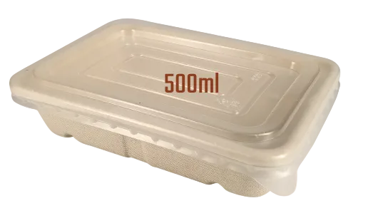 Rectangle Sugarcane Box with PP Lid