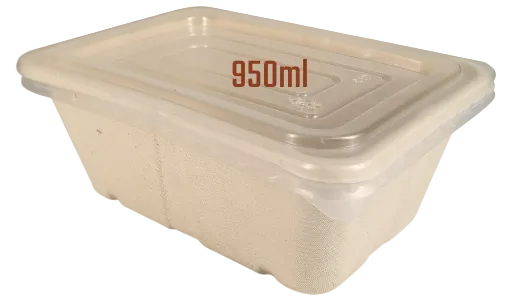 Rectangle Sugarcane Box with PP Lid
