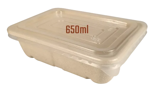 Rectangle Sugarcane Box with PP Lid