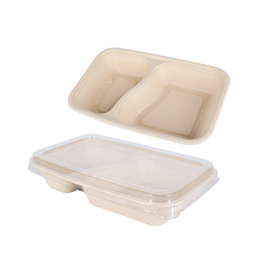 800ml Rectangle Sugarcane Box with 2 Compartment