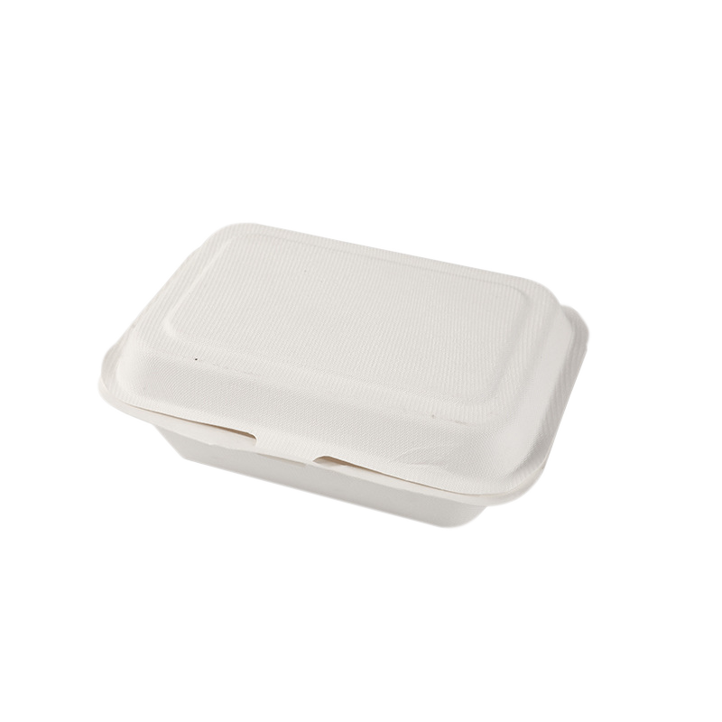 600mL Clamshell Sugarcane Box