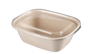 1800mL Oval Sugarcane Box w/ Clear Lid