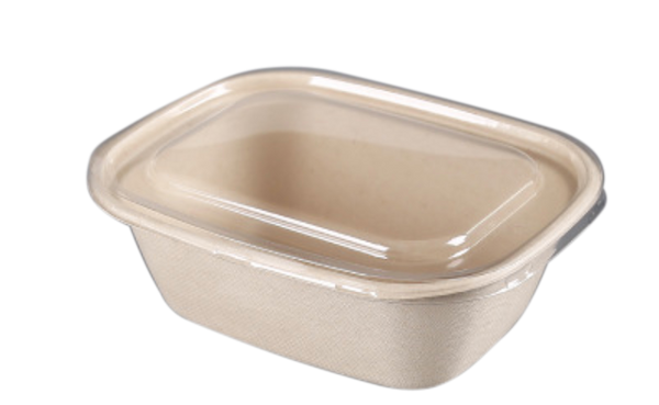 1800mL Oval Sugarcane Box w/ Clear Lid