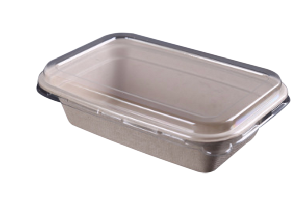 1000mL Rectangle Sugarcane Box w/ Clear Lid