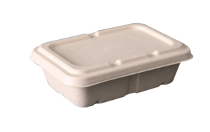 650mL Rectangle Sugarcane Box w/ Paper Lid