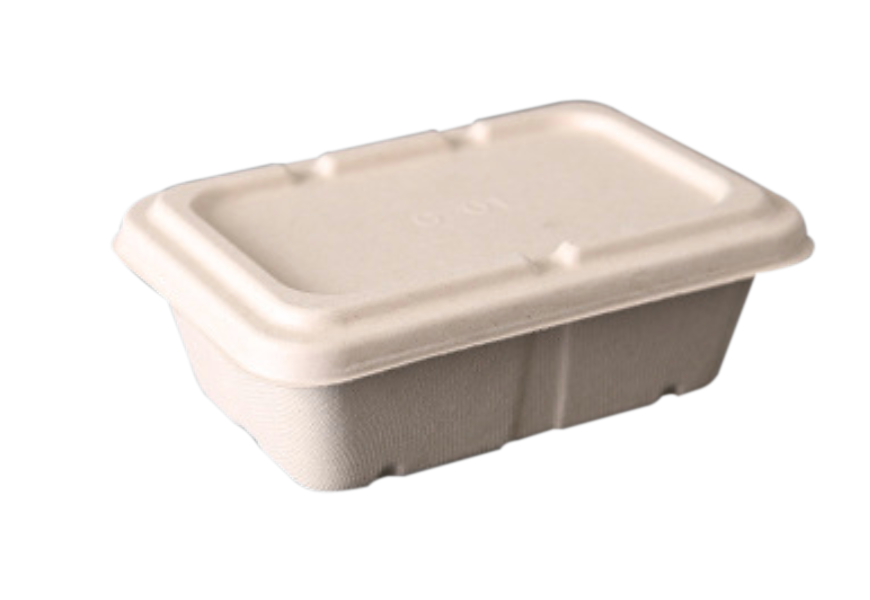 750mL Rectangle Sugarcane Box w/ Paper Lid