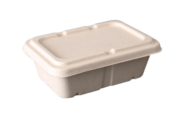 750mL Rectangle Sugarcane Box w/ Paper Lid